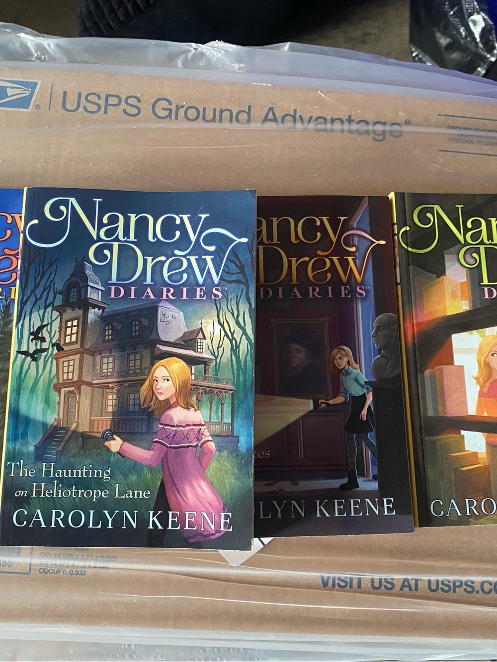 Nancy Drew Diaries: The Haunting on Heliotrope Lane โ (Blue/Pink)